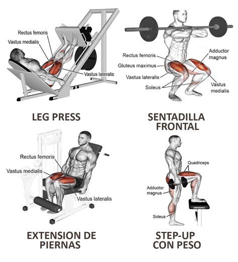 ejercicios de pierna gym
